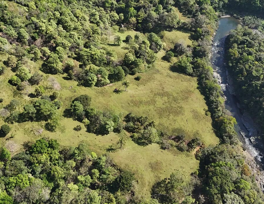 Ladera y cultivos