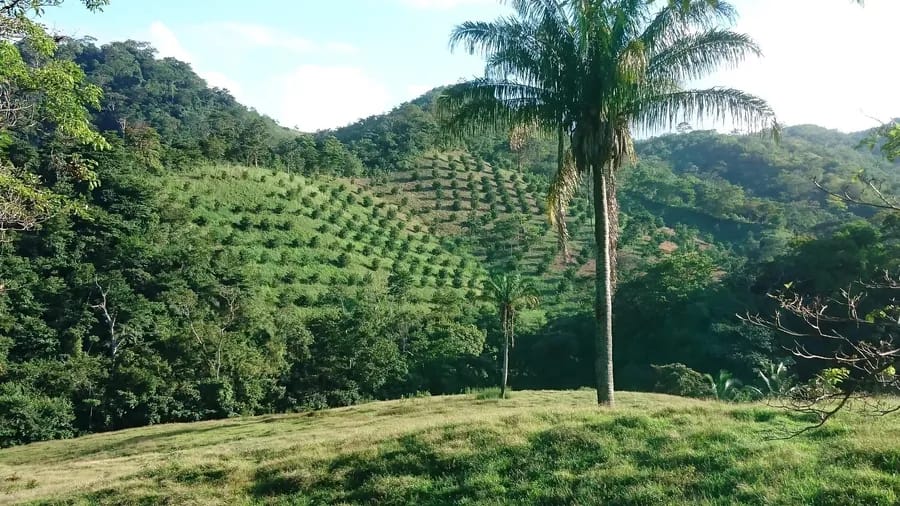 Valle y montañas