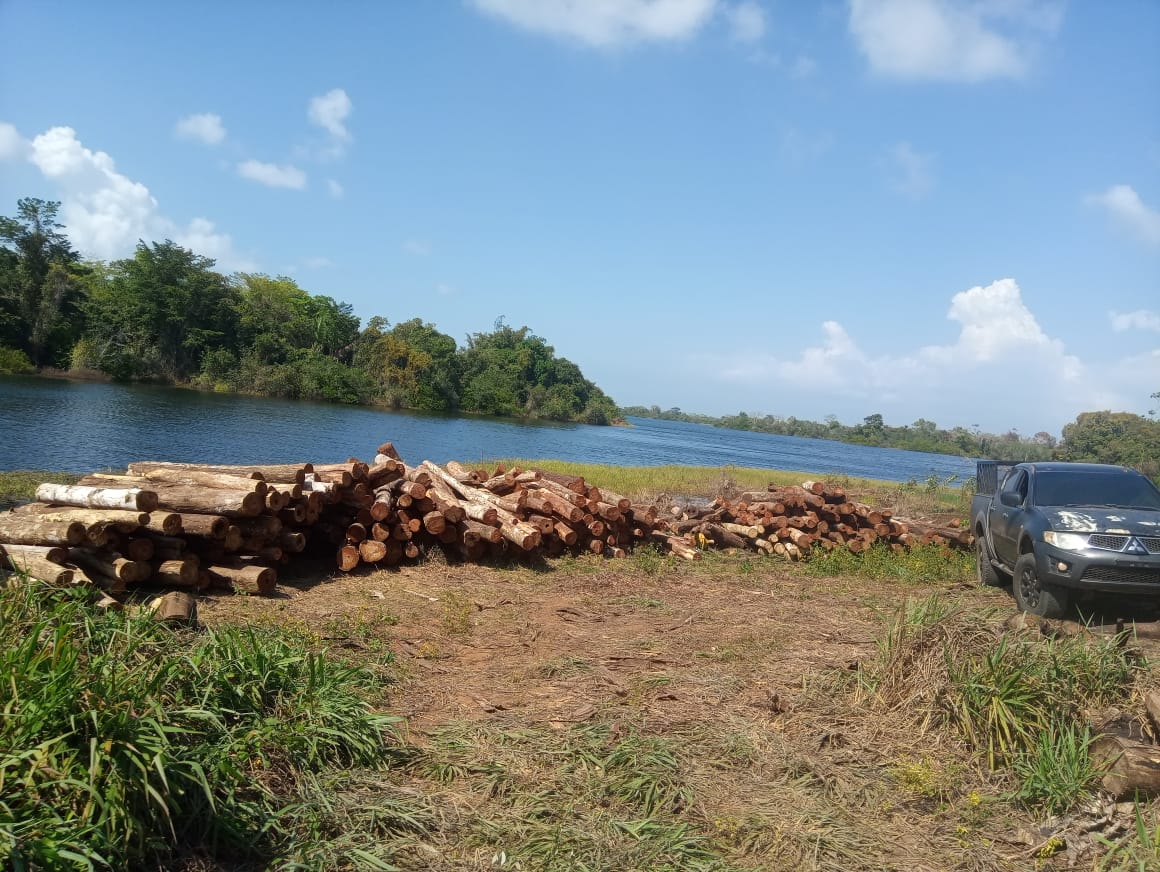 Plantación Forestal – Lago Gatún